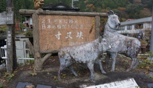 寸又峡