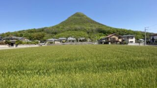 飯野山