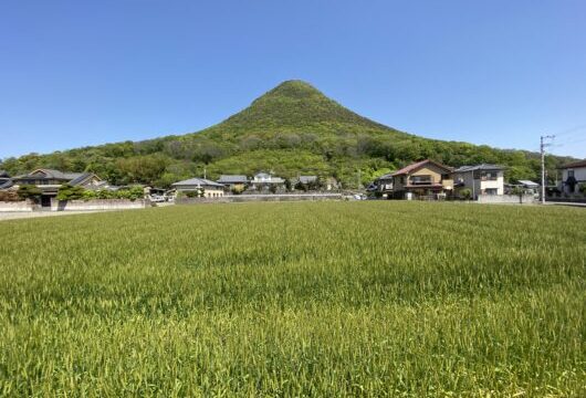 飯野山