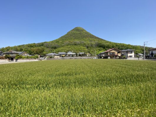 飯野山