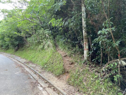 屋良部岳登山口