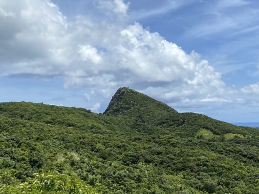マーペー 野底岳