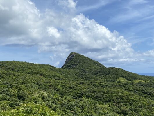 マーペー　野底岳